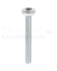 Gewindefurchende Schrauben M6x45 DIN7500