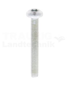 Gewindefurchende Schrauben M8x55 DIN7500