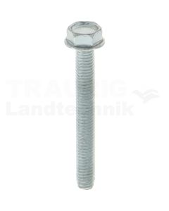 Gewindefurchende Schrauben M5x40 DIN7500