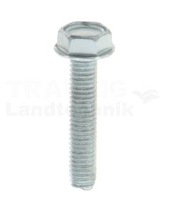 Gewindefurchende Schrauben M6x30 DIN7500