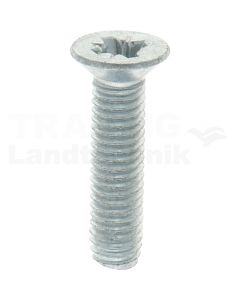 Gewindefurchende Schrauben M6x25 DIN7500