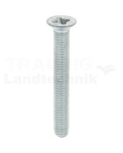 Gewindefurchende Schrauben M8x60 DIN7500