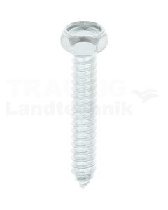 VPE250 Sechskantschraube M6x38 DIN 7976