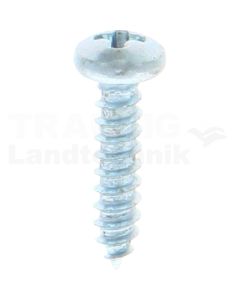 Linsen-Blechschraube 2,9x13 DIN 7981