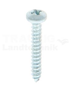 Linsen-Blechschraube 2,9x19 DIN 7981
