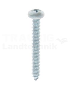 Linsen-Blechschraube 2,9x22 DIN 7981