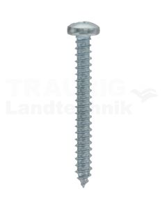 Linsen-Blechschraube 2,9x25 DIN 7981