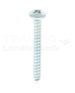 Linsen-Blechschraube 3,9x32 DIN 7981