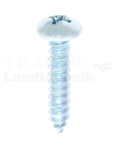 Linsen-Blechschraube 4,2x19 DIN 7981