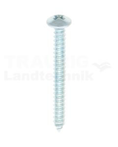 Linsen-Blechschraube 4,2x38 DIN 7981
