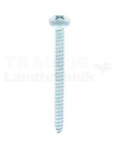 Linsen-Blechschraube 4,2x45 DIN 7981