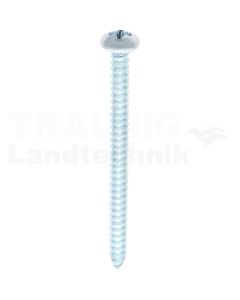Linsen-Blechschraube 4,2x50 DIN 7981