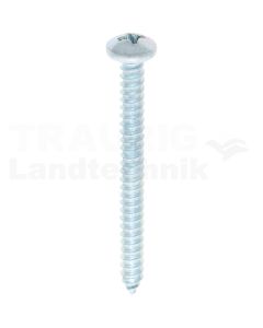 Linsen-Blechschraube 4,8x50 DIN 7981