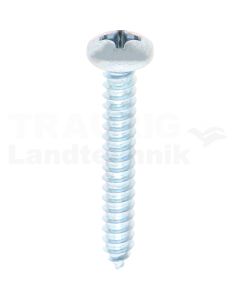 Linsen-Blechschraube 5,5x38 DIN 7981