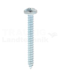 Linsen-Blechschraube 5,5x45 DIN 7981