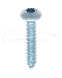 Linsen-Blechschraube 4,2x22 DIN 7981