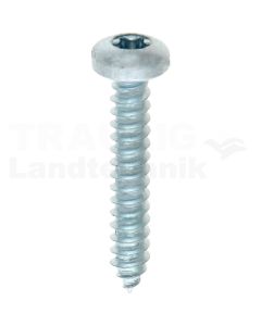 Linsen-Blechschraube 4,2x25 DIN 7981