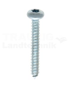 Linsen-Blechschraube 4,2x32 DIN 7981