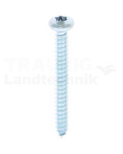 Linsen-Blechschraube 4,2x38 DIN 7981