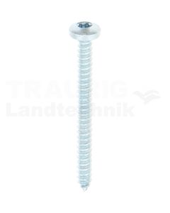 Linsen-Blechschraube 4,2x45 DIN 7981