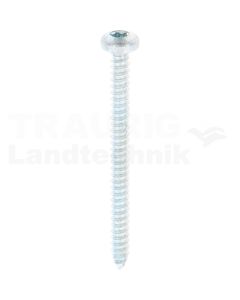 Linsen-Blechschraube 4,2x50 DIN 7981