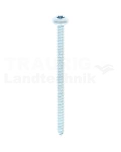 Linsen-Blechschraube 4,2x60 DIN 7981