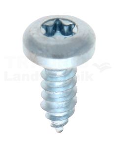 Linsen-Blechschraube 4,8x13 DIN 7981