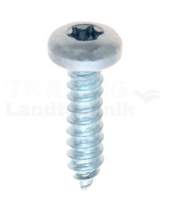 Linsen-Blechschraube 4,8x19 DIN 7981