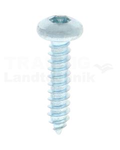 Linsen-Blechschraube 4,8x22 DIN 7981