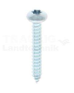Linsen-Blechschraube 4,8x32 DIN 7981