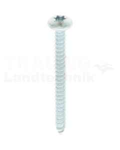 Linsen-Blechschraube 4,8x45 DIN 7981