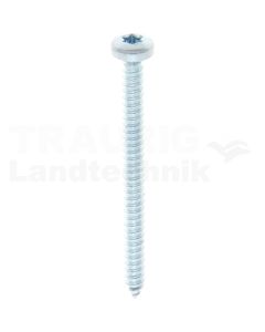 Linsen-Blechschraube 4,8x60 DIN 7981