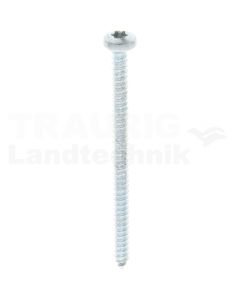 Linsen-Blechschraube 4,8x70 DIN 7981