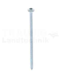 Linsen-Blechschraube 4,8x90 DIN 7981