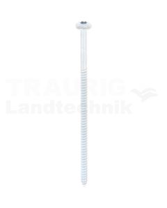 Linsen-Blechschraube 4,8x100 DIN 7981