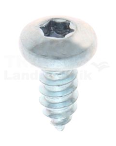Linsen-Blechschraube 5,5x13 DIN 7981