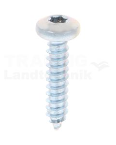 Linsen-Blechschraube 5,5x25 DIN 7981