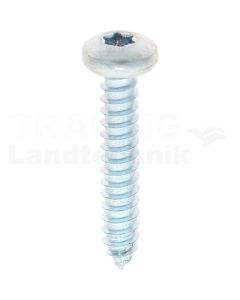Linsen-Blechschraube 5,5x32 DIN 7981