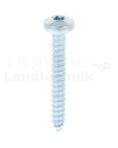 Linsen-Blechschraube 5,5x38 DIN 7981