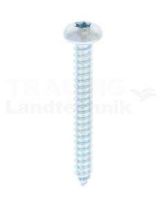 Linsen-Blechschraube 5,5x45 DIN 7981
