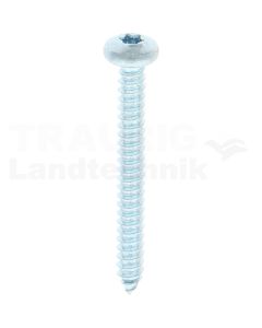 Linsen-Blechschraube 5,5x50 DIN 7981