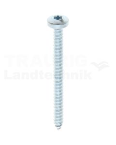 Linsen-Blechschraube 5,5x60 DIN 7981