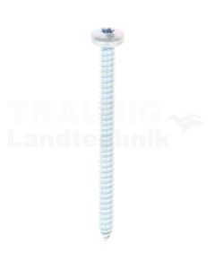 Linsen-Blechschraube 5,5x70 DIN 7981