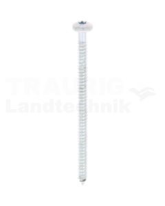 Linsen-Blechschraube 5,5x90 DIN 7981