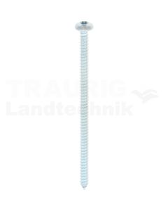 Linsen-Blechschraube 5,5x100 DIN 7981