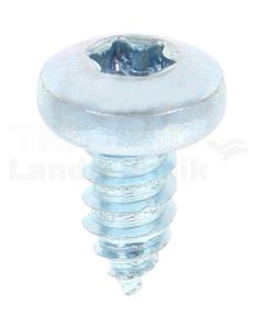 Linsen-Blechschraube 6,3x13 DIN 7981