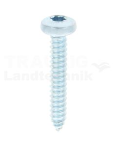 Linsen-Blechschraube 6,3x38 DIN 7981