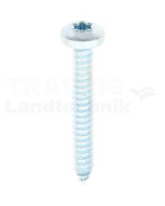 Linsen-Blechschraube 6,3x45 DIN 7981
