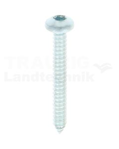 Linsen-Blechschraube 6,3x50 DIN 7981