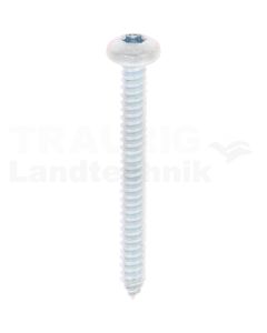 Linsen-Blechschraube 6,3x60 DIN 7981
